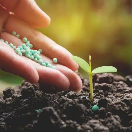 Fertilizers
