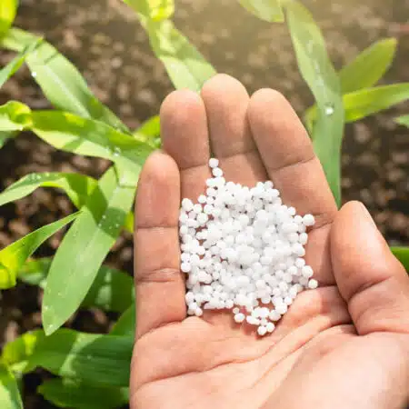 Urea