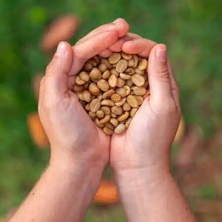 Nuts